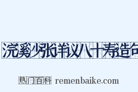 浣溪沙张详议八十寿造句是什么意思的图片